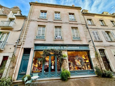 APPARTEMENT T7 A VENDRE - CHALON SUR SAONE - 208 m2 - 422000€