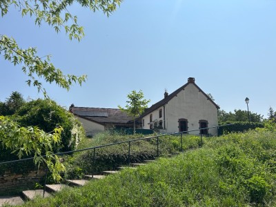 Maison en pierre, grange et bureau A VENDRE - ST GENGOUX LE NATIONAL - 165 m2 - 257000€