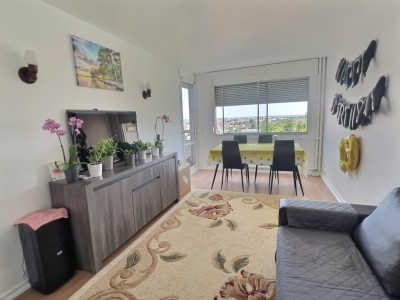 APPARTEMENT T2 A VENDRE - DIJON TIRE PESSEAU - 45.18 m2 - 50000€