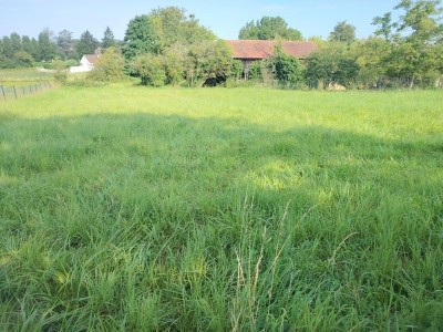 TERRAIN A VENDRE - ST MARTIN EN BRESSE - 40000€