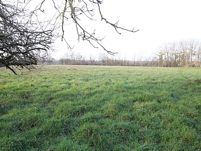 Terrain  btir A VENDRE - ST GERMAIN DU BOIS - 624 m2 - 20000€