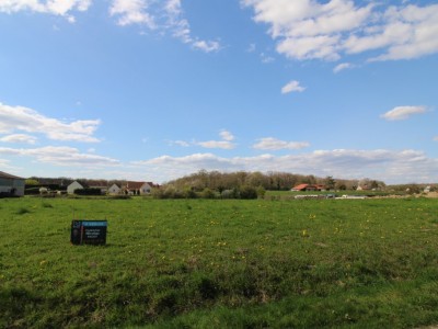 parcelle  btir A VENDRE - ST CHRISTOPHE EN BRESSE - 3000 m2 - 37000€