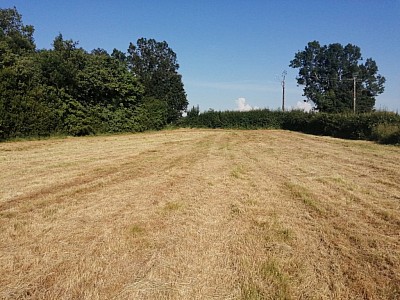 TERRAIN - ST CHRISTOPHE EN BRESSE - VENDU