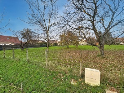 Terrain viabilis de 1016m2 A VENDRE - LAIVES - 82000€