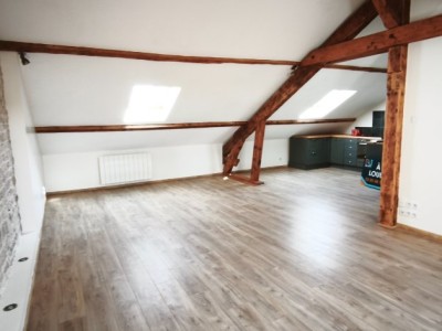 APPARTEMENT T2 A LOUER - CHALON SUR SAONE - 74.7 m2 - 630�&euro; charges comprises par mois