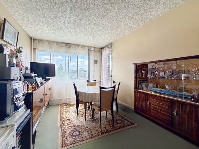 T2 Vendu loué. Forte rentabilité A VENDRE - DIJON TIRE PESSEAU - 31.27 m2 - 47 000 &euro;