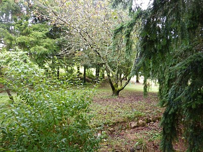 MAISON A LOUER - LUCENAY L EVEQUE CAMPAGNE - 80 m2 - 607 € charges comprises par mois