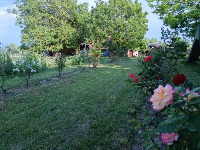 MAISON A VENDRE - ESBARRES - 141,85 m2 - 264000 €
