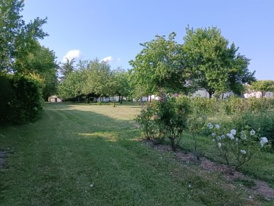 MAISON A VENDRE - ESBARRES - 141,85 m2 - 264000 €