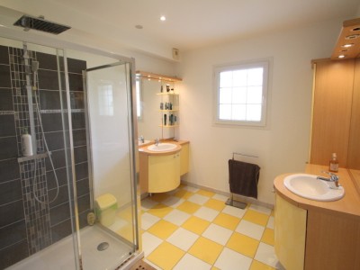 pavillon 4 chambres et ateliers garages A VENDRE - ALLERIOT - 246 m2 - 380000 €