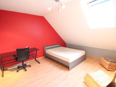 pavillon 4 chambres et ateliers garages A VENDRE - ALLERIOT - 246 m2 - 380000 €