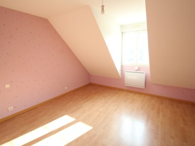 pavillon 4 chambres et ateliers garages A VENDRE - ALLERIOT - 246 m2 - 380000 €