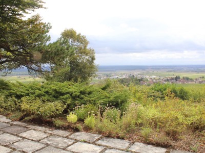 MAISON A VENDRE - MOREY ST DENIS - 228 m2 - 550000 €