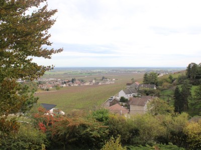 MAISON A VENDRE - MOREY ST DENIS - 228 m2 - 550000 €