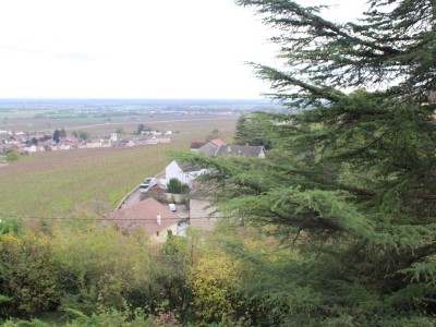 MAISON A VENDRE - MOREY ST DENIS - 228 m2 - 550000 €