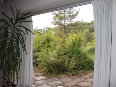 MAISON A VENDRE - MOREY ST DENIS - 228 m2 - 550000 €