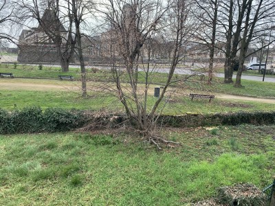 IMMEUBLE/MAISON DE VILLE AVEC JARDIN ET GRANGE A VENDRE - SENNECEY LE GRAND - 190 m2 - 185000 €