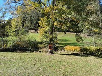 Beau terrain plat de 2798m² à Broye - BROYE - VENDU