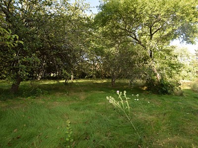 TERRAIN A VENDRE - DRACY LE FORT - 1394 m2 - 179000 €