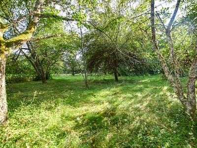 TERRAIN A VENDRE - DRACY LE FORT - 1394 m2 - 179000 €