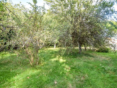 TERRAIN A VENDRE - DRACY LE FORT - 1394 m2 - 179000 €