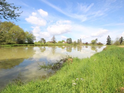 Etang avec terrain. A VENDRE - LOUHANS - 22430 m2 - 124800 €