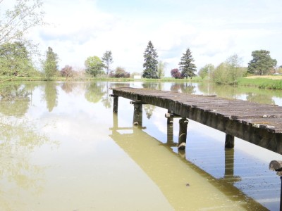 Etang avec terrain. A VENDRE - LOUHANS - 22430 m2 - 124800 €