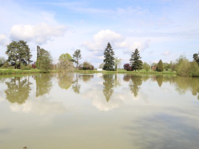 Etang avec terrain. A VENDRE - LOUHANS - 22430 m2 - 124800 €