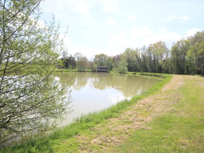 Etang avec terrain. A VENDRE - LOUHANS - 22430 m2 - 124800 €