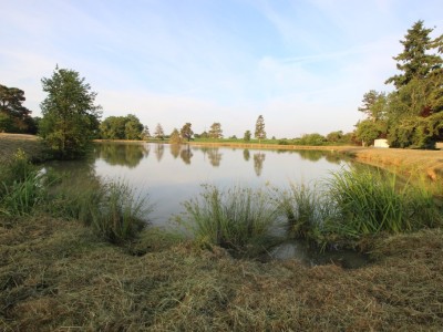 Etang avec terrain. A VENDRE - LOUHANS - 22430 m2 - 124800 €