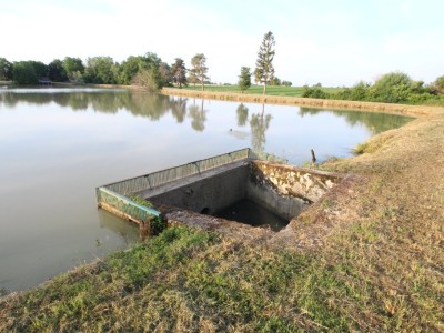 Etang avec terrain. A VENDRE - LOUHANS - 22430 m2 - 124800 €