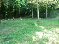 TERRAIN - NUITS ST GEORGES - 600 m2 - VENDU