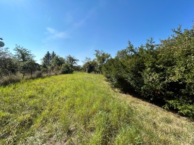 TERRAIN A BATIR A VENDRE - SENNECEY LE GRAND - 1456 m2 - 64000 €