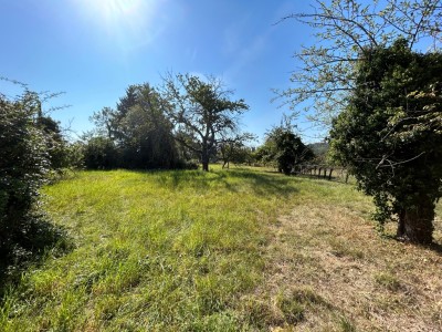 TERRAIN A BATIR A VENDRE - SENNECEY LE GRAND - 1456 m2 - 64000 €