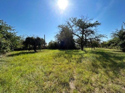 TERRAIN A BATIR A VENDRE - SENNECEY LE GRAND - 1456 m2 - 64000 €