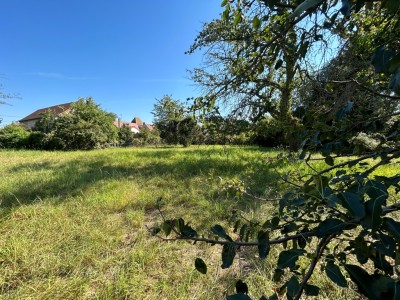 TERRAIN A BATIR A VENDRE - SENNECEY LE GRAND - 1456 m2 - 64000 €