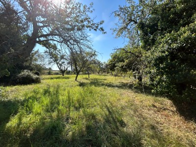 TERRAIN A BATIR A VENDRE - SENNECEY LE GRAND - 1456 m2 - 64000 €