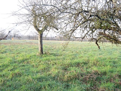 Terrain  btir A VENDRE - ST GERMAIN DU BOIS - 624 m2 - 23500 €
