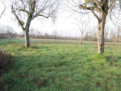 Terrain  btir A VENDRE - ST GERMAIN DU BOIS - 624 m2 - 23500 €