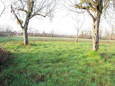 Terrain  btir A VENDRE - ST GERMAIN DU BOIS - 624 m2 - 23500 €