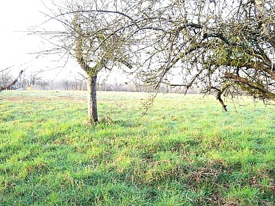 Terrain  btir A VENDRE - ST GERMAIN DU BOIS - 624 m2 - 23500 €