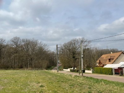 terrain   btir A VENDRE - ST MARTIN EN BRESSE - 2000 m2 - 47000 €