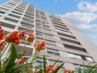 T 4 à rénover A VENDRE - DIJON TIRE PESSEAU - 72.72 m2 - 75 000 €