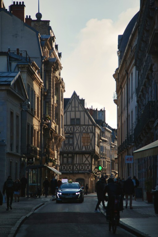 Maison à vendre à Dijon : trouvez votre bien idéal avec Neyrat Immobilier