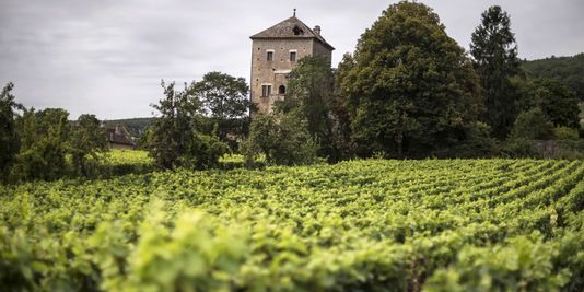 GEVREY CHAMBERTIN